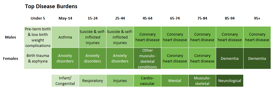 Top disease burdens